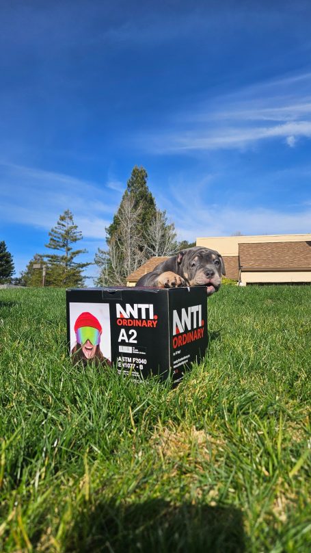 A box of "A11" product on grass with blue sky and trees in the background.