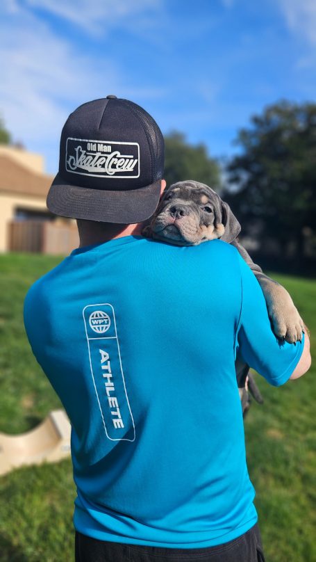 A person in a blue shirt holds a gray dog outdoors against a sunny background.